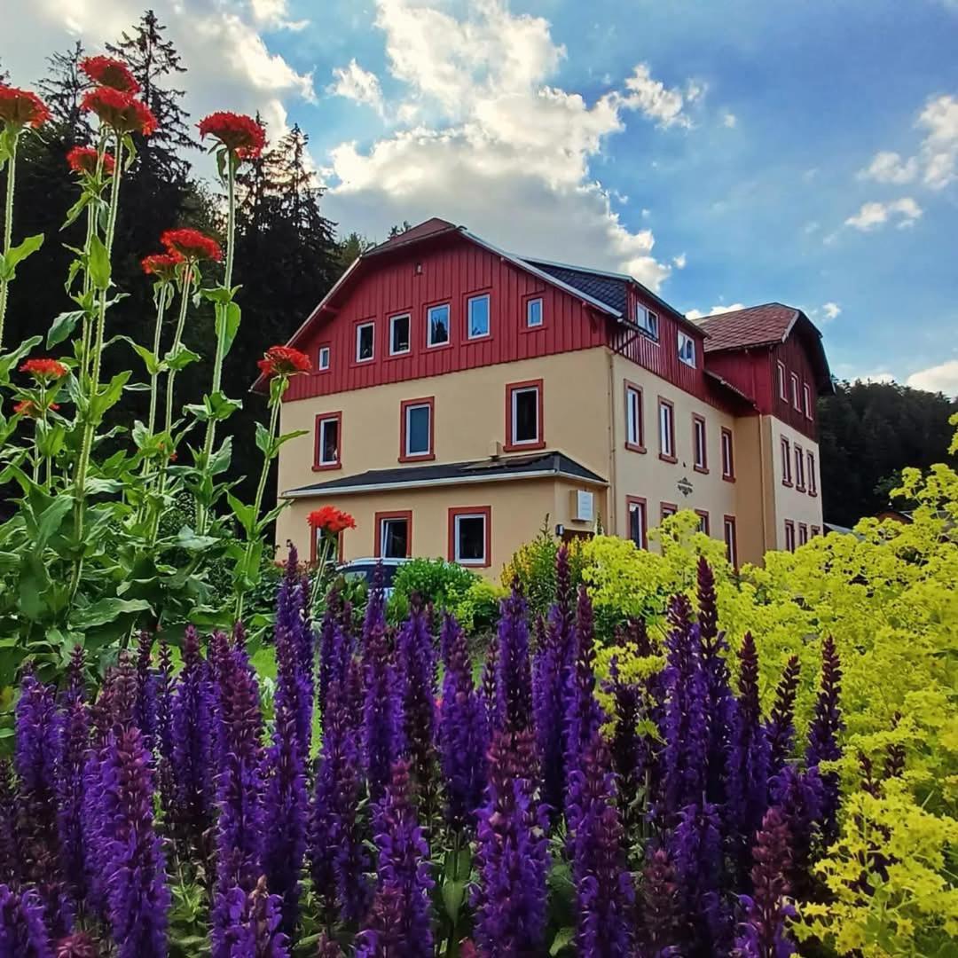 Appartamento Haus Stefanie Elvire Altenberg  Esterno foto